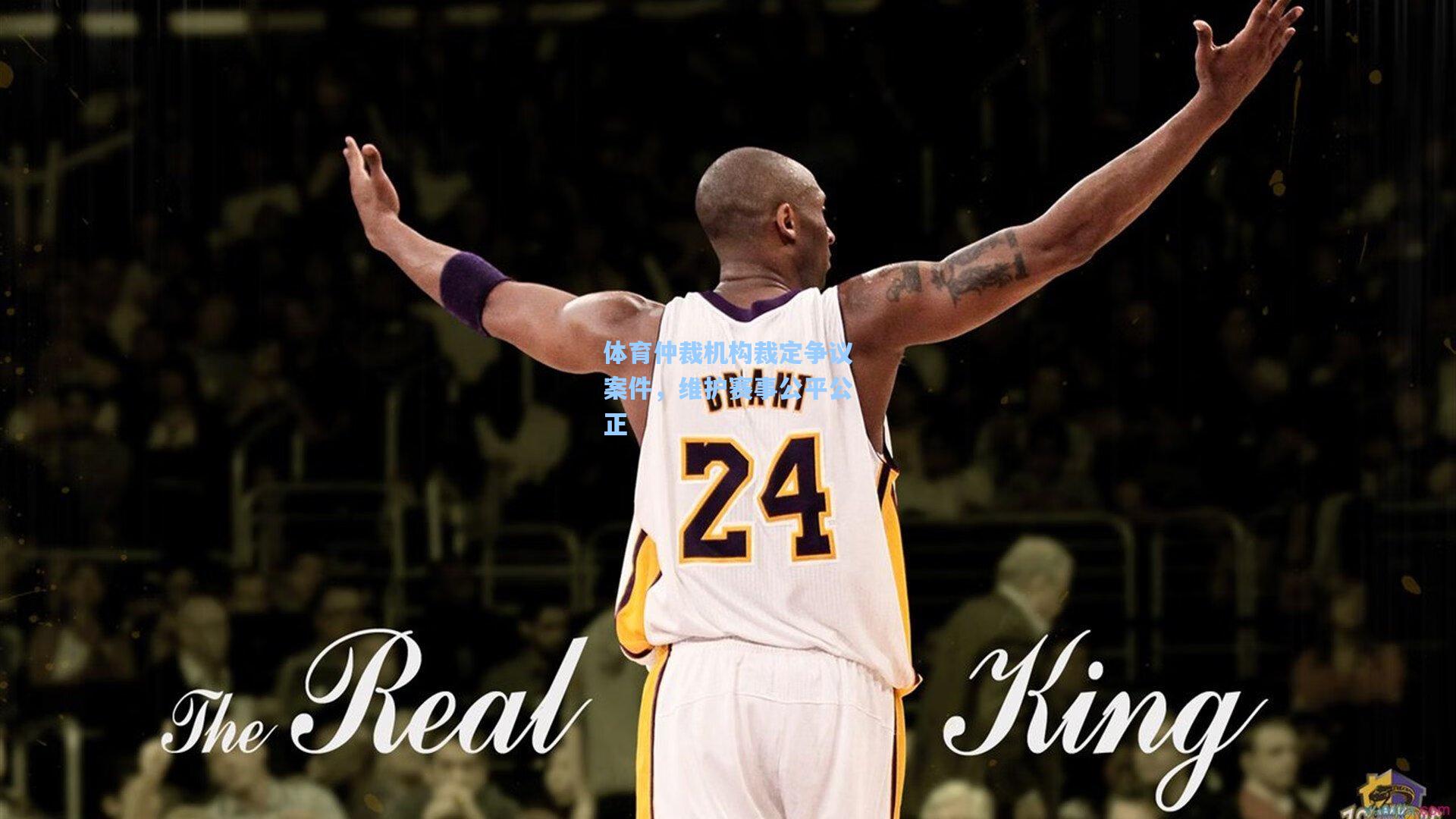 体育仲裁机构裁定争议案件，维护赛事公平公正